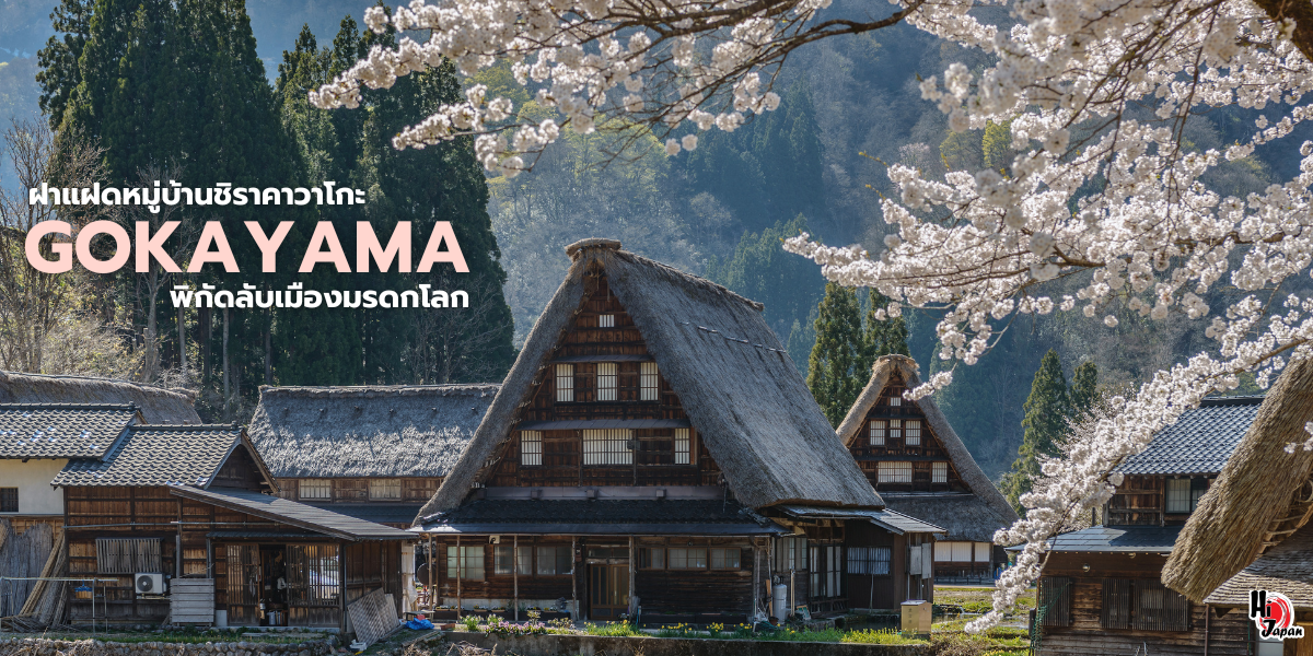 หมู่บ้านมรดกโลก โกคายามะ (Gokayama World Heritage Site)