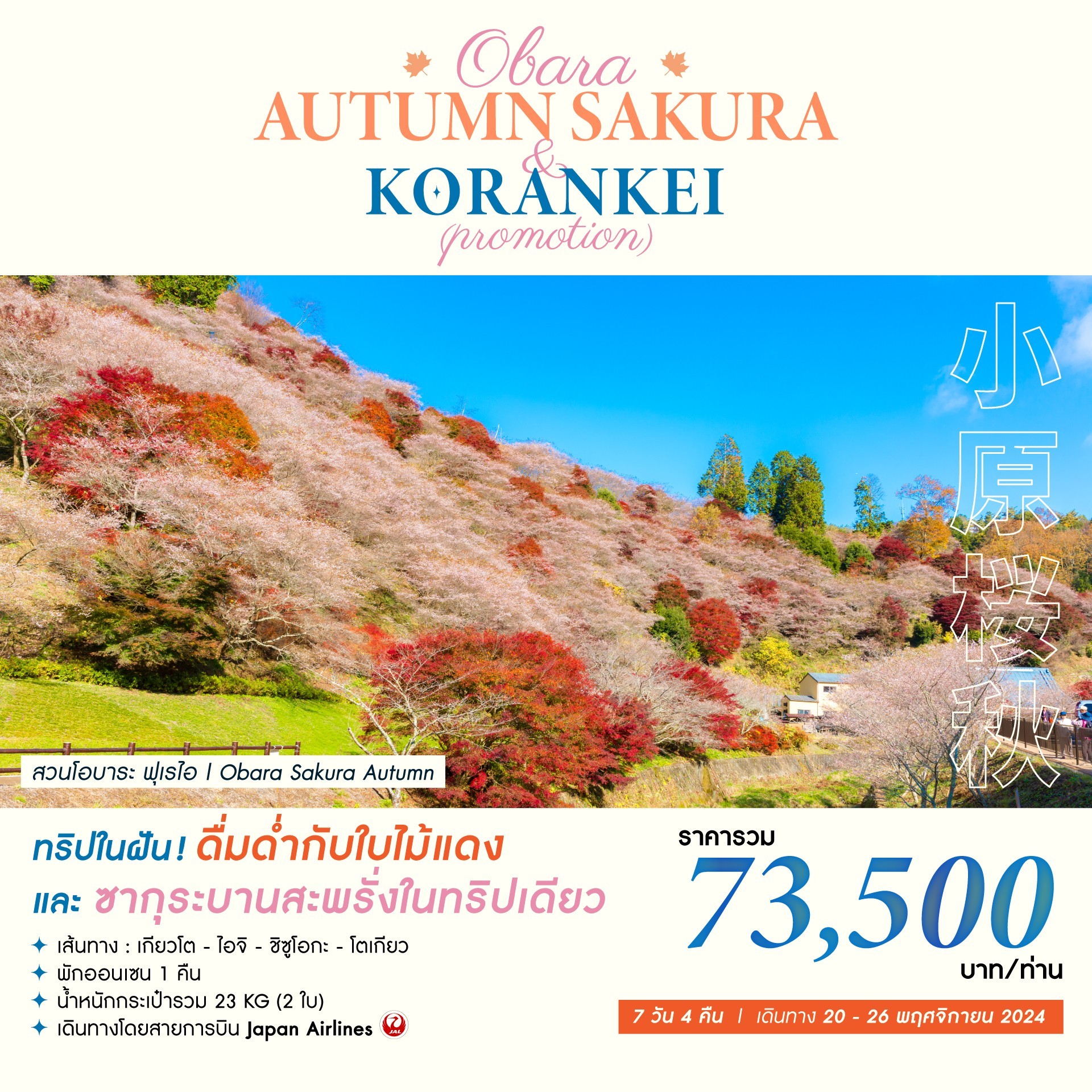 ทัวร์ญี่ปุ่น OBARA AUTUMN SAKURA & KORANKEI (PROMOTION) 7วัน 4คืน (JL)