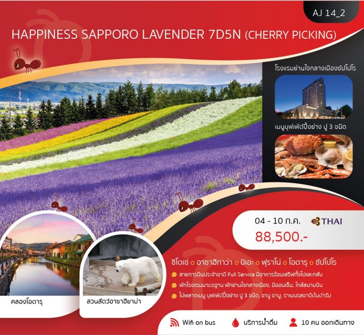 ทัวร์ญี่ปุ่น HAPPINESS SAPPORO LAVENDER 7วัน 5คืน (TG)