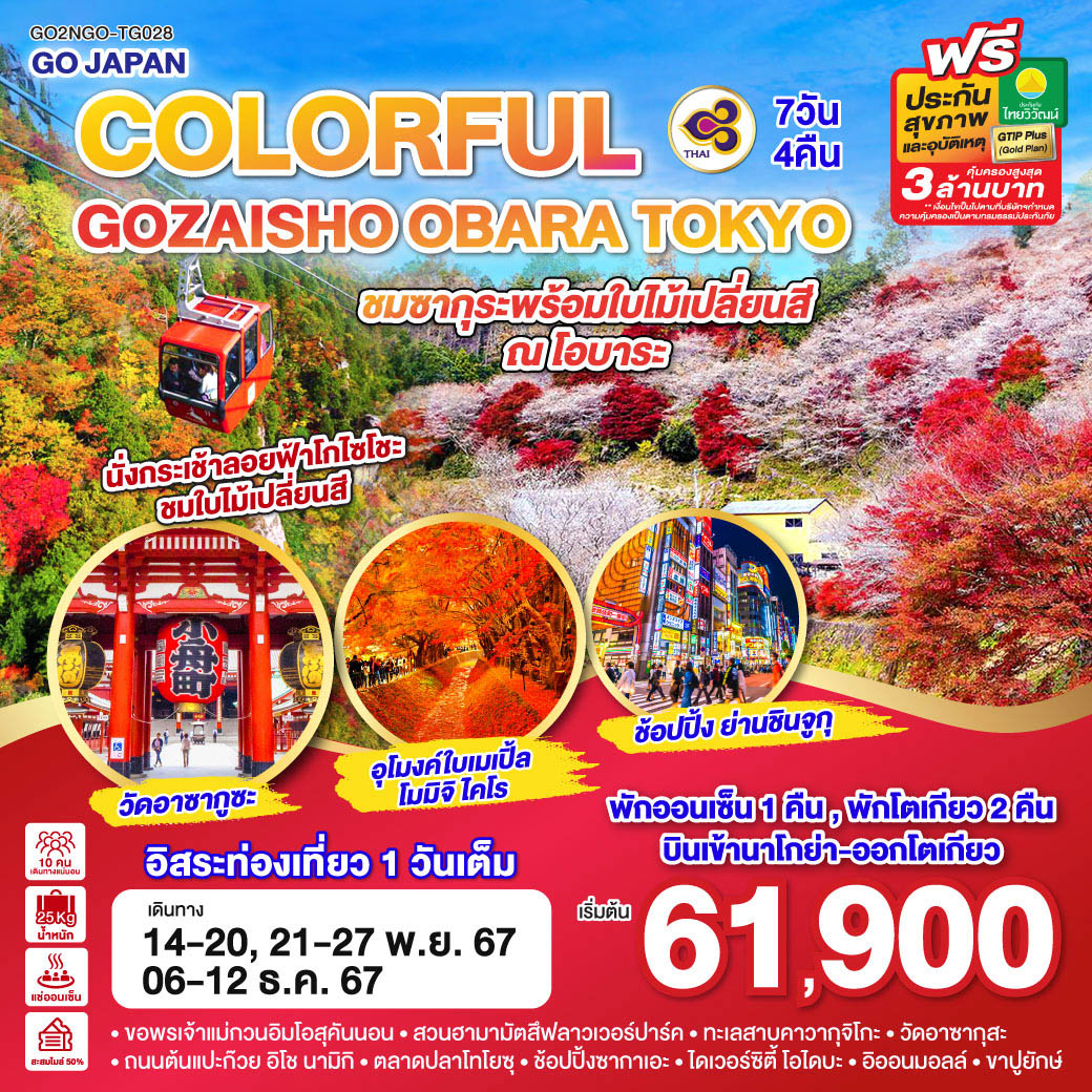 ทัวร์ญี่ปุ่น COLORFUL GOZAISHO KORANKEI TOKYO 7วัน 4คืน (TG)