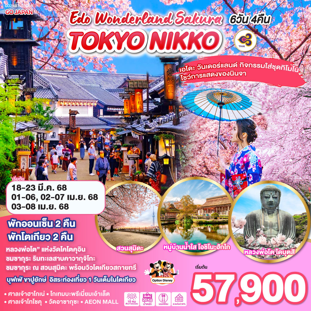 ทัวร์ญี่ปุ่น TOKYO NIKKO EDO WONDERLAND SAKURA 6วัน 4คืน (TG)