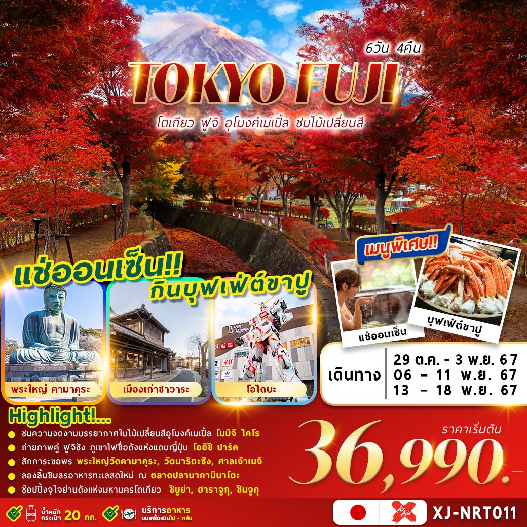 ทัวร์ญี่ปุ่น TOKYO FUJI AUTUMN (FREEDAY) 6วัน 4คืน (XJ)